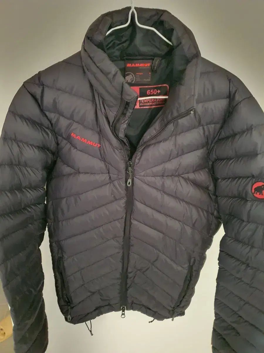 マムート マイクロパーテックス ダウン