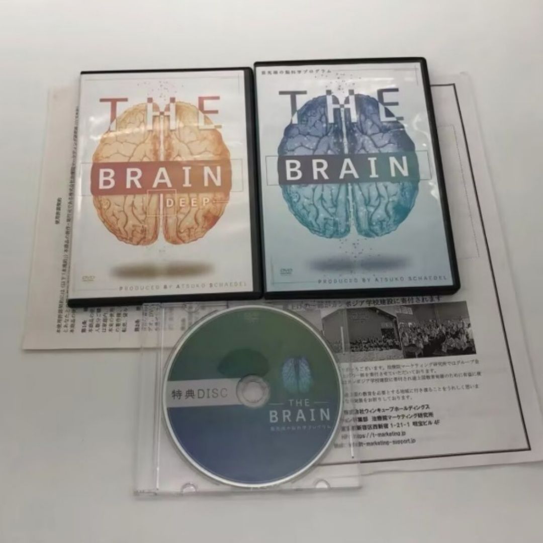 THE BRAIN 最先端の脳科学プログラム シェイデル敦子先生の「THE BRAIN