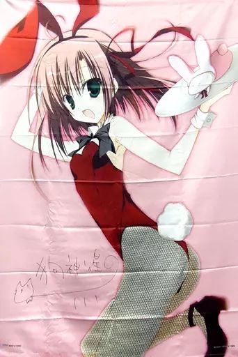 タペストリー 桜野くりむ バニーガール 直筆サイン入りタペストリー タイトーくじ本舗 生徒会の一存 ダブルハッピー賞