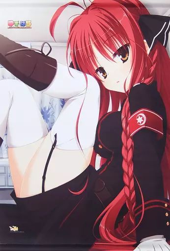 タペストリー 25 矢来美羽 ver 1 ゆず ぱらB 2タペストリー DRACU RIOT! ゆずソフトショップ2016