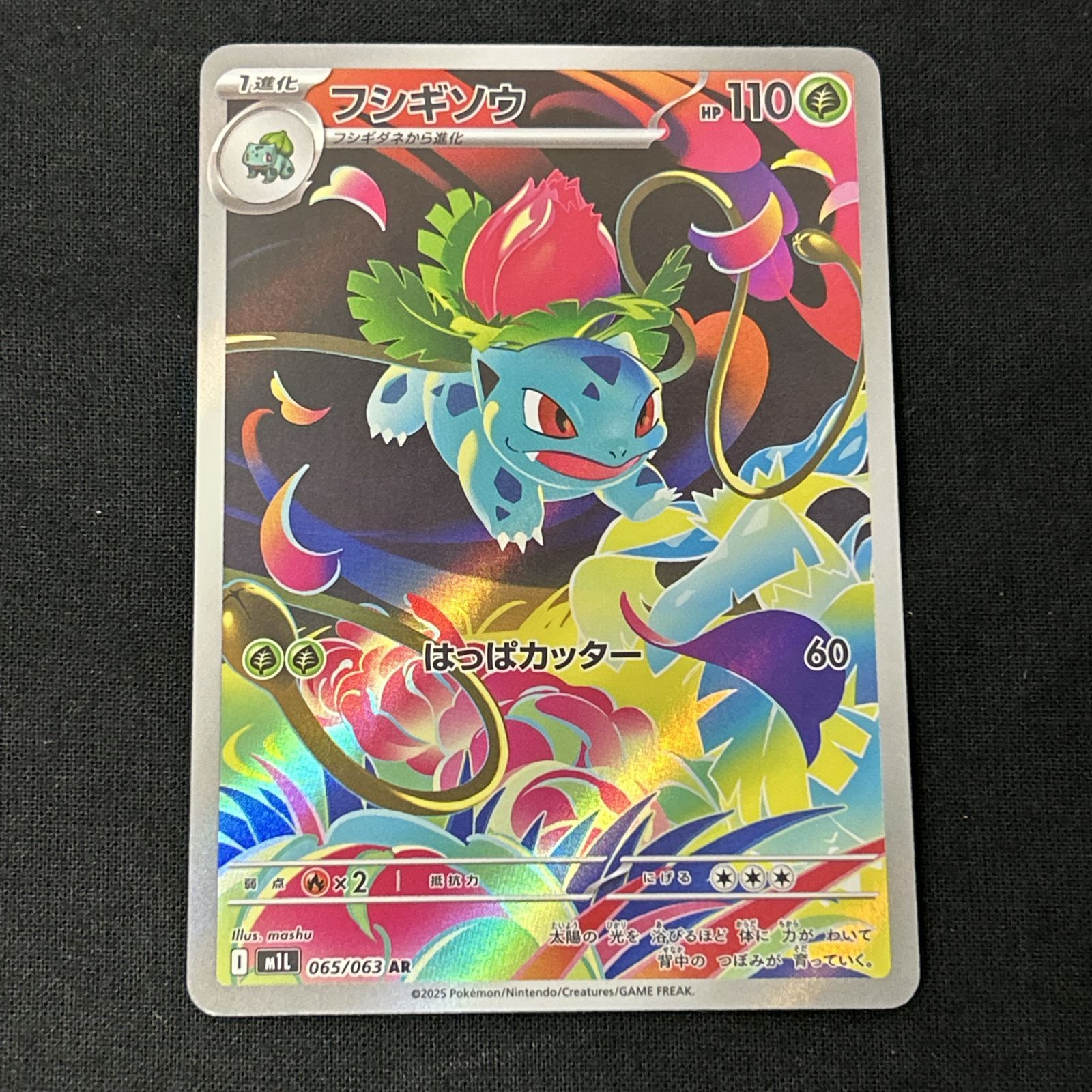 フシギソウ ポケモンカード 1996年版 フシギソウ ポケモンカード 1996年版 ポケモンカード 1996年