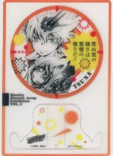 小物 キャラクター 沢田綱吉 来場記念証 家庭教師ヒットマンREBORN! 創刊50周年記念 週刊少年ジャンプ展 VOL 3 ファン感謝デー 追加来場者特典