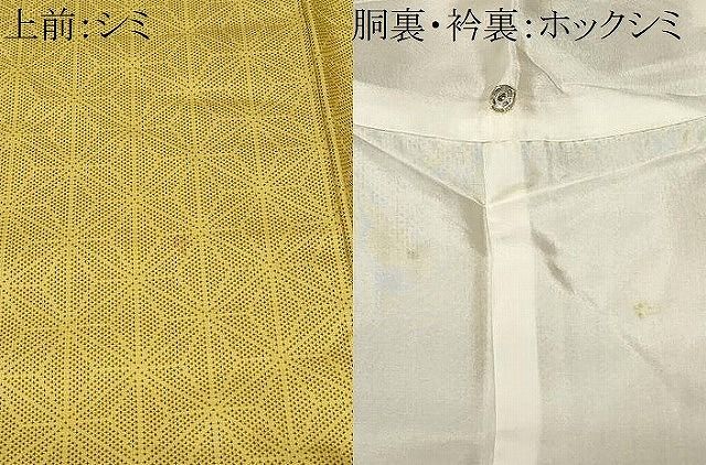 平和屋着物□上質な紬 麻の葉文様 正絹 逸品 CAAZ5830ev - メルカリ