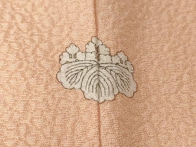 平和屋着物□上質な色無地 舞花地紋 虹色 正絹 逸品 CAAZ5845ev - メルカリ