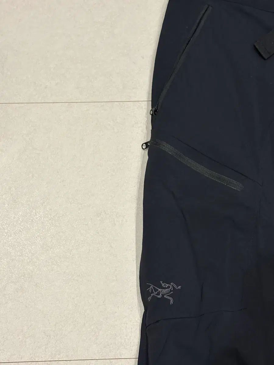 アークテリクス 펠리세이드 パンツ ブラック