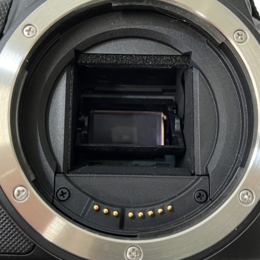 Canon EOS Kiss X7 ボディ EF-S 18-55mm F3.5-5.6 IS STM / 55-250mm