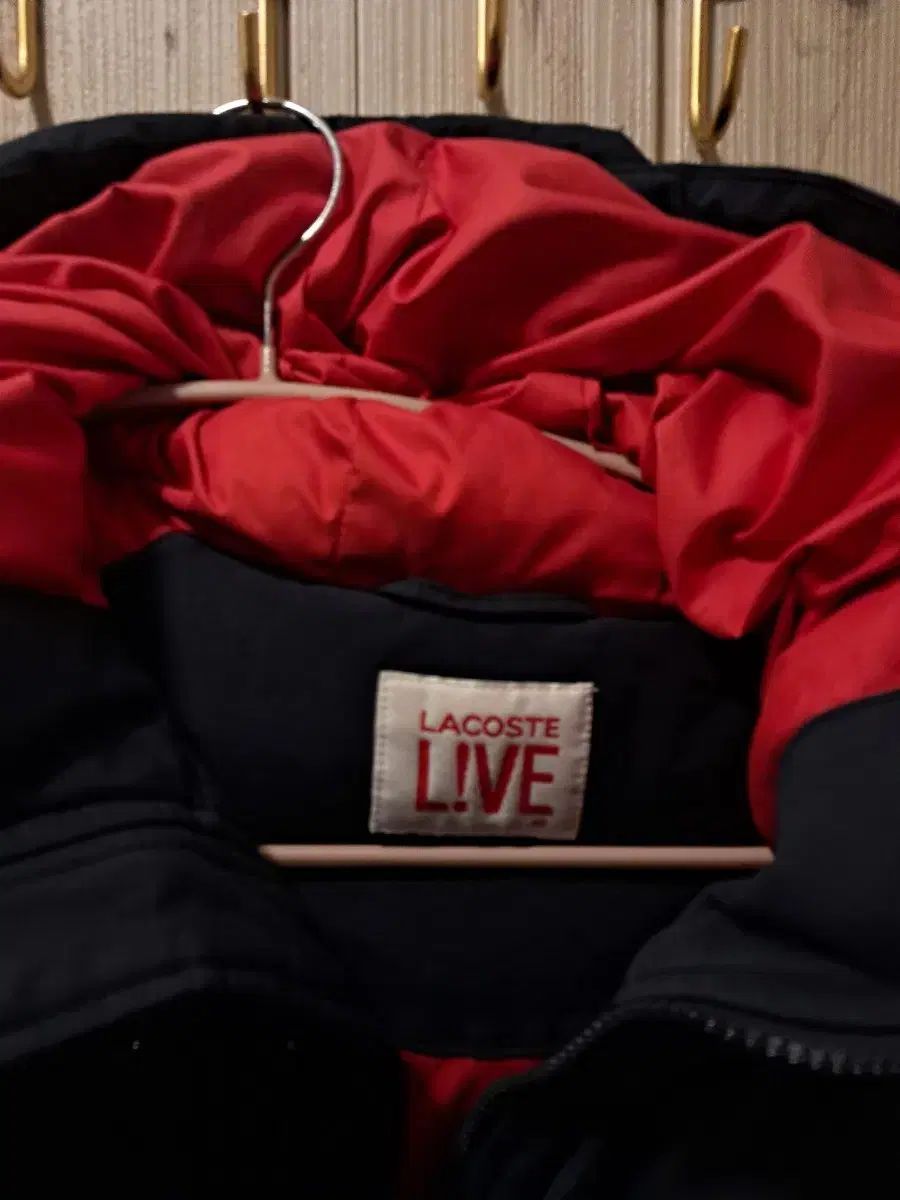 LACOSTE ラコステ メンズ95 レディース100 ユニセックス