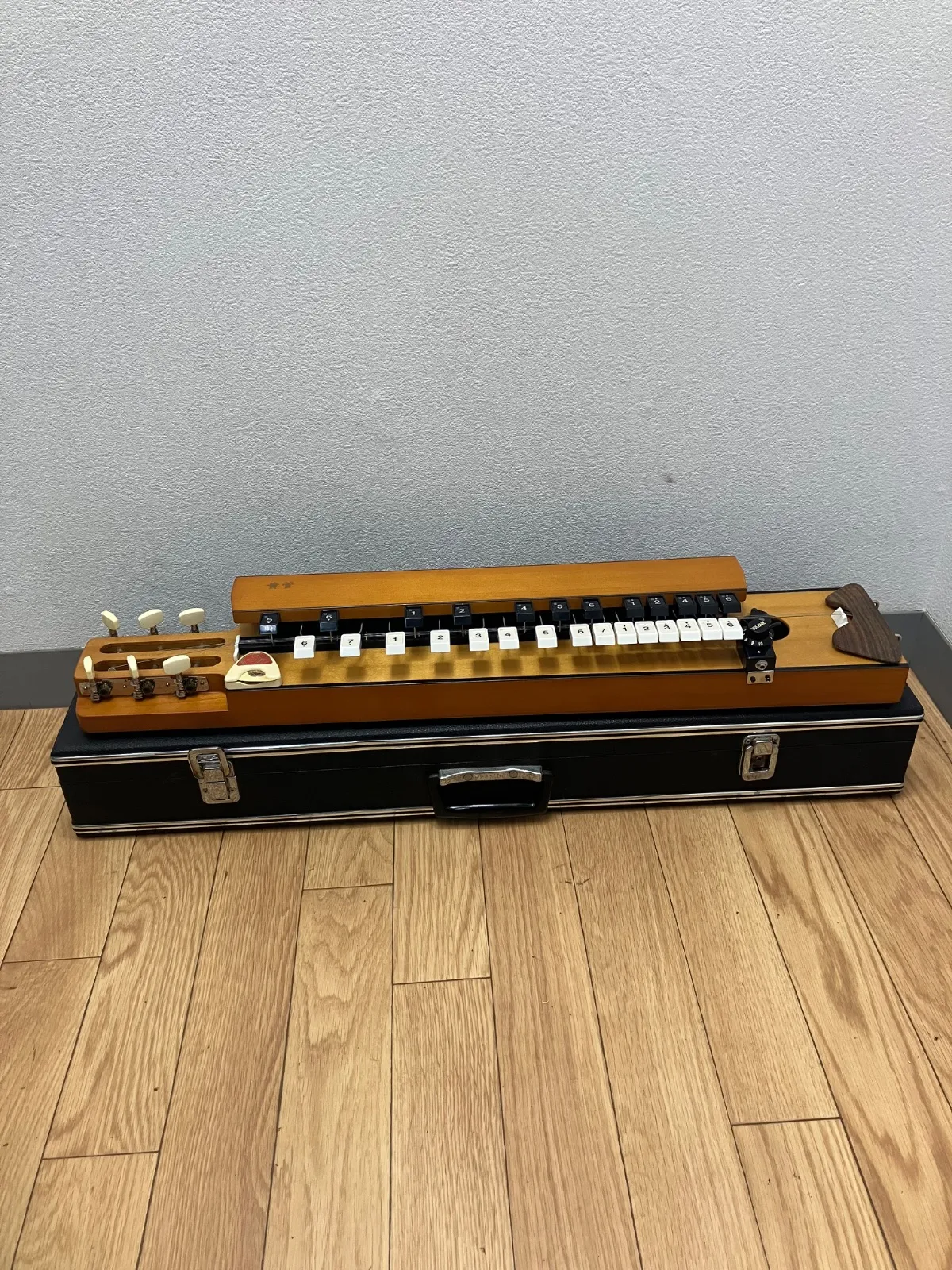 2026年最新】木村 大正琴の人気アイテム - メルカリ