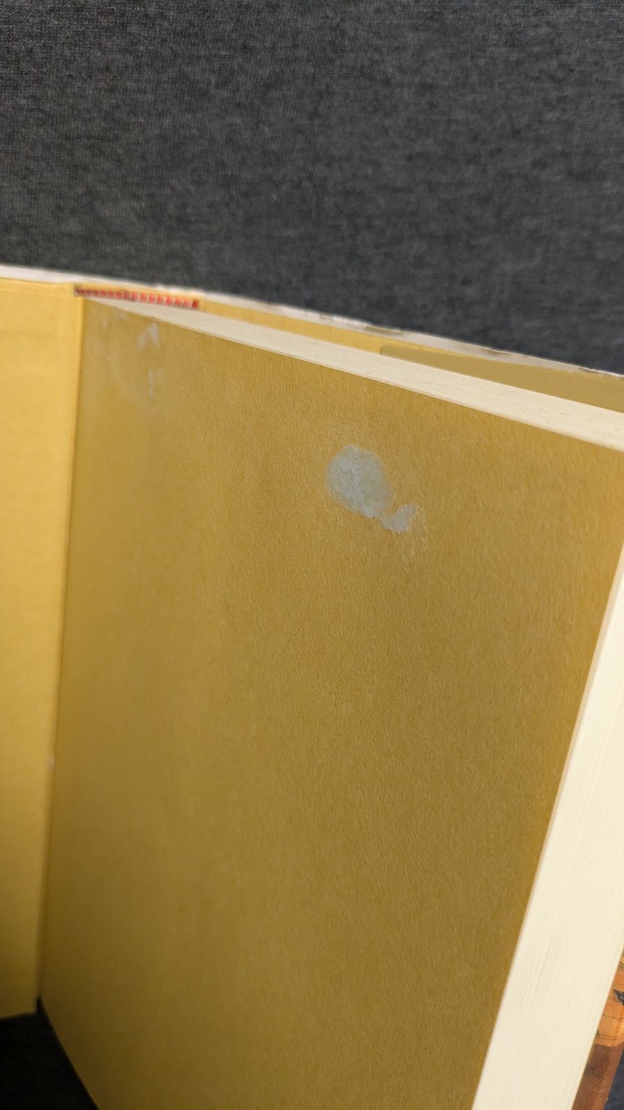 日本の夢信仰 宗教学から見た日本精神史 河東仁|玉川大学出版部 人文 本 本 雑誌 漫画