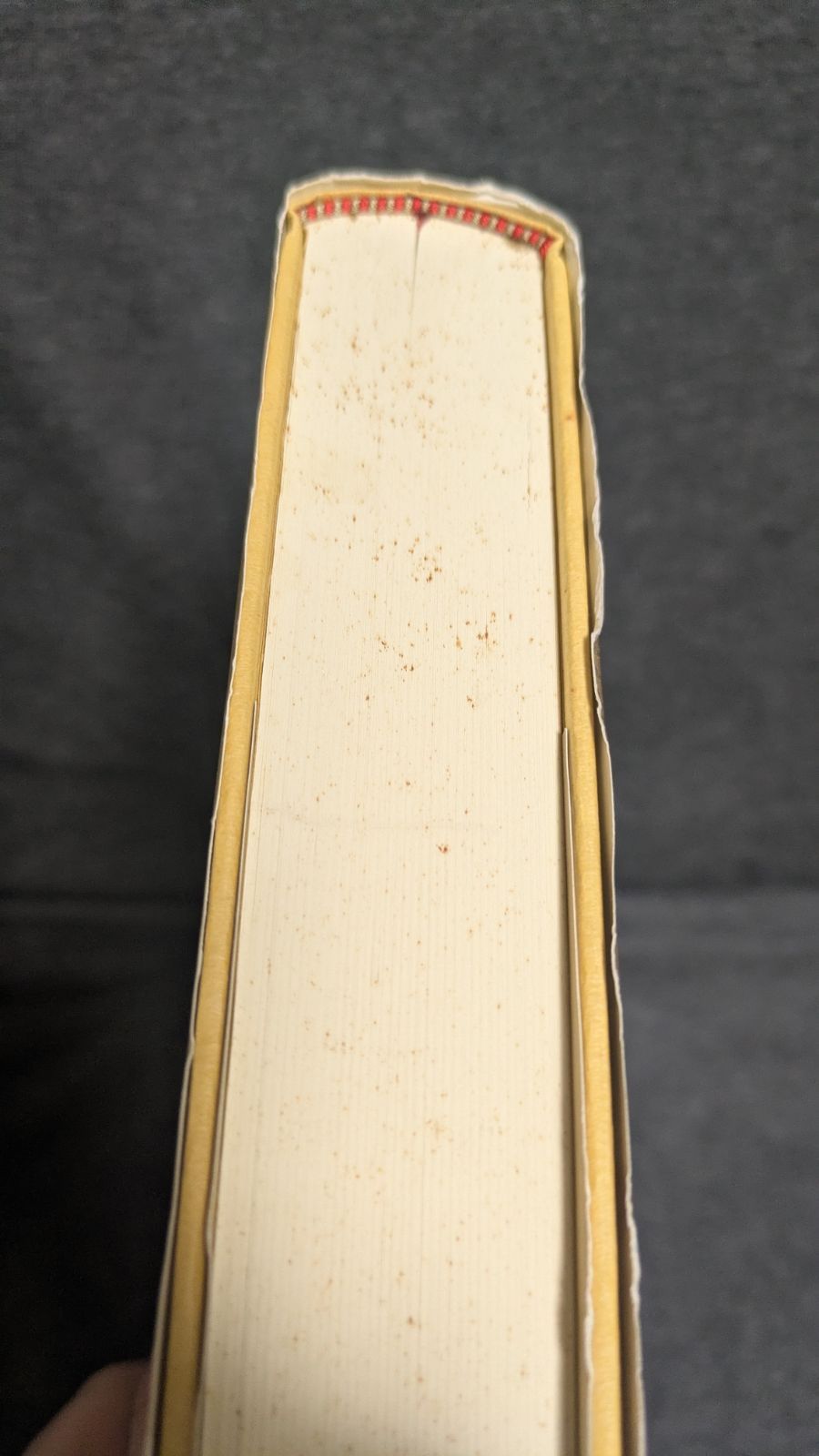 宗教学から見た日本精神史 河東仁|玉川大学出版部