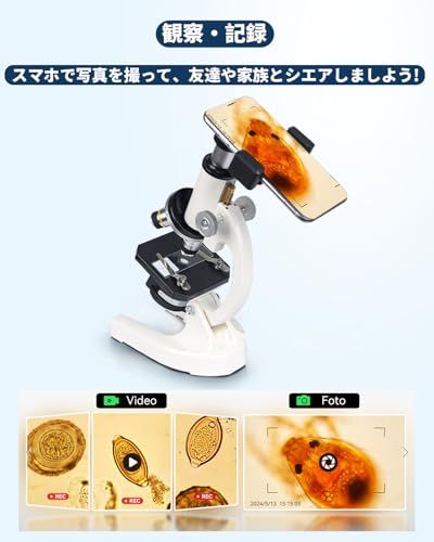  顕微鏡 小学生 子供 40 X~3200 X 標本付き 日本製 中学生 高校生 自由研究 学生成人初心者学習 日本語説明書付きpo c 8320726 その他 キッチン 食器