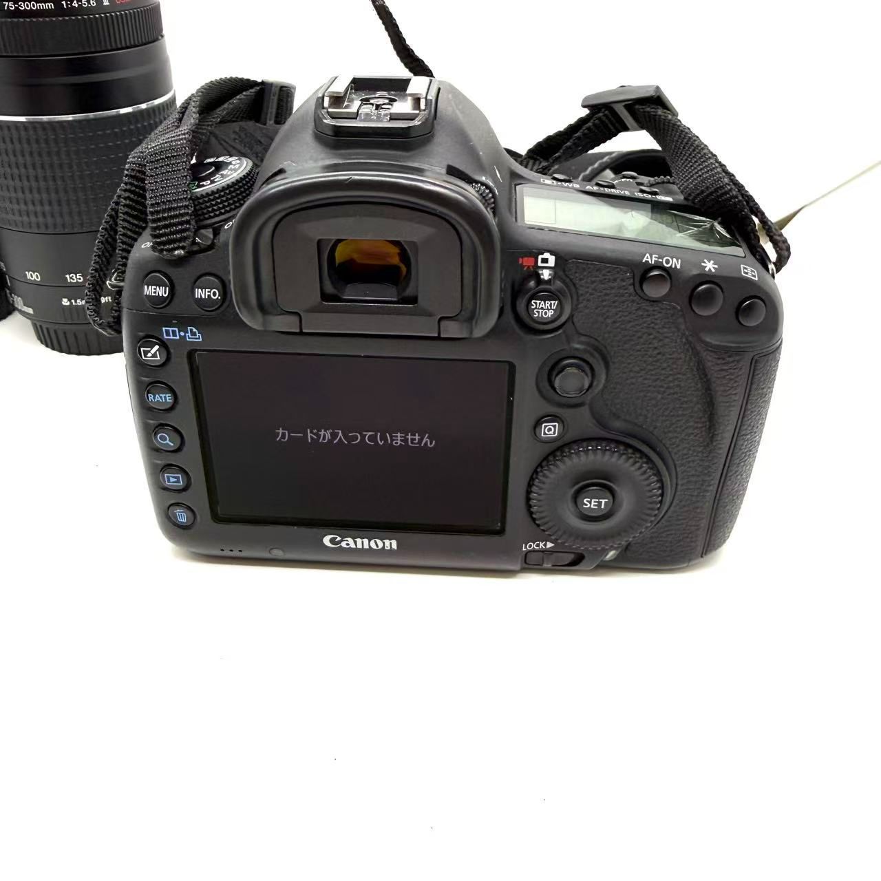 Canon EOS 5D 100-300mm デジタル一眼レフカメラ | ヤマダウェブコム