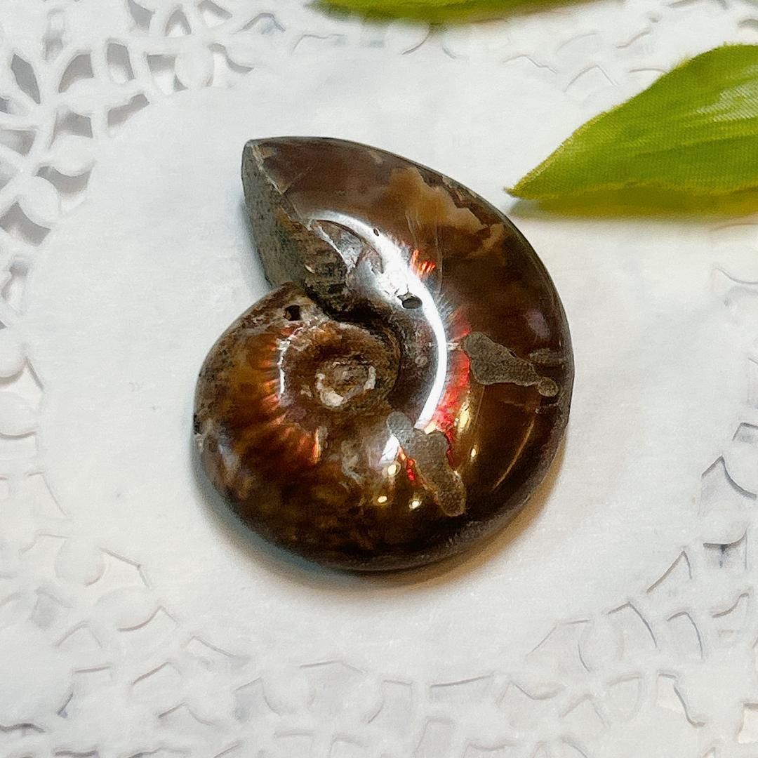 小物１ アンモナイト化石 赤褐色 小物1 アンモナイト化石 赤褐色 小物1 アンモナイト化石 赤褐色 小物1