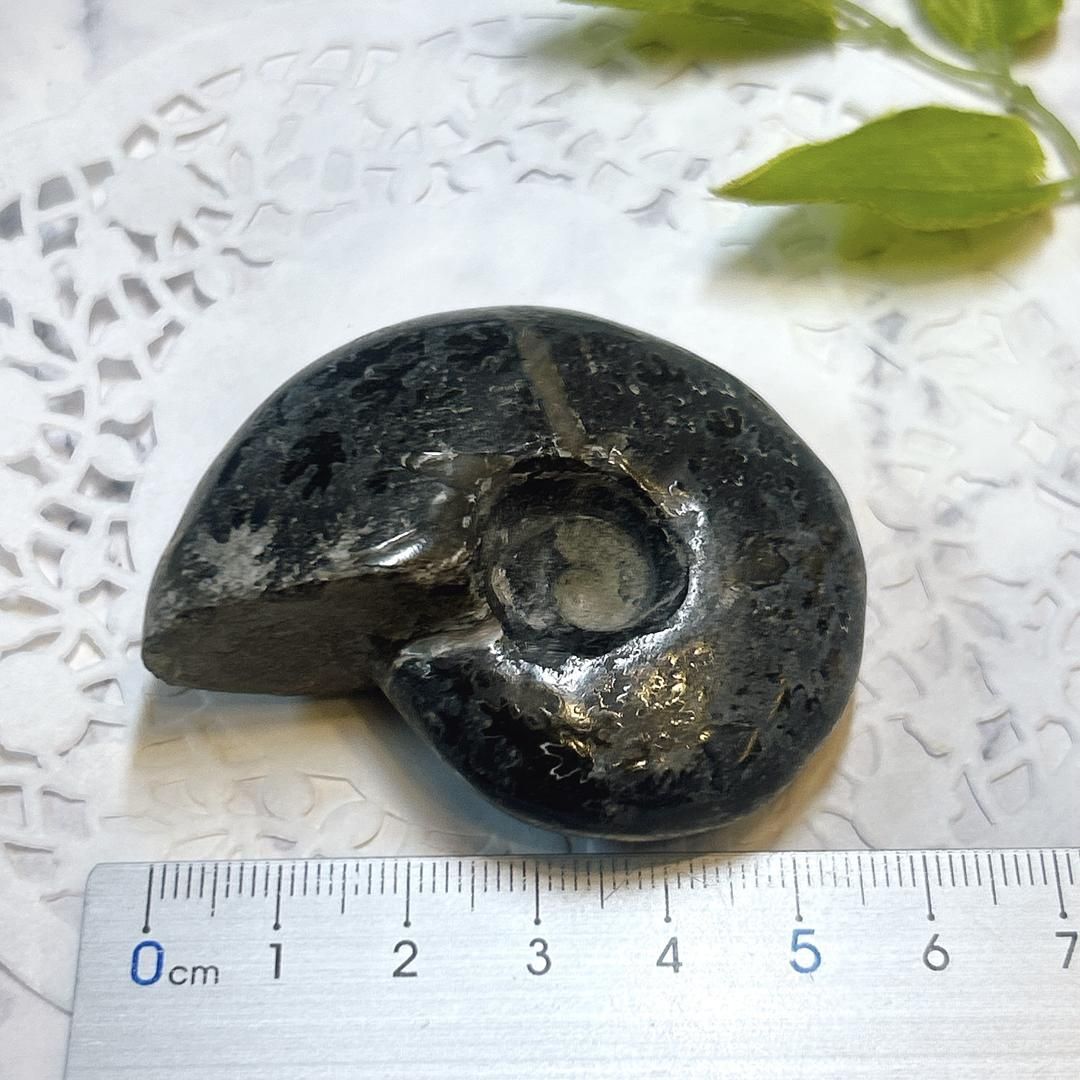 E17460】ブラックアンモナイト 中生代白亜紀 マダガスカル 磁赤鉄鉱