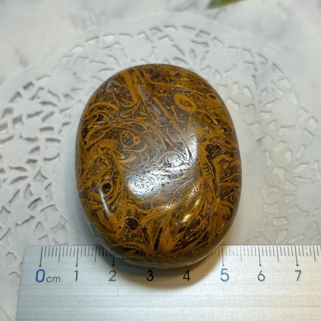 マリヤム マリアン