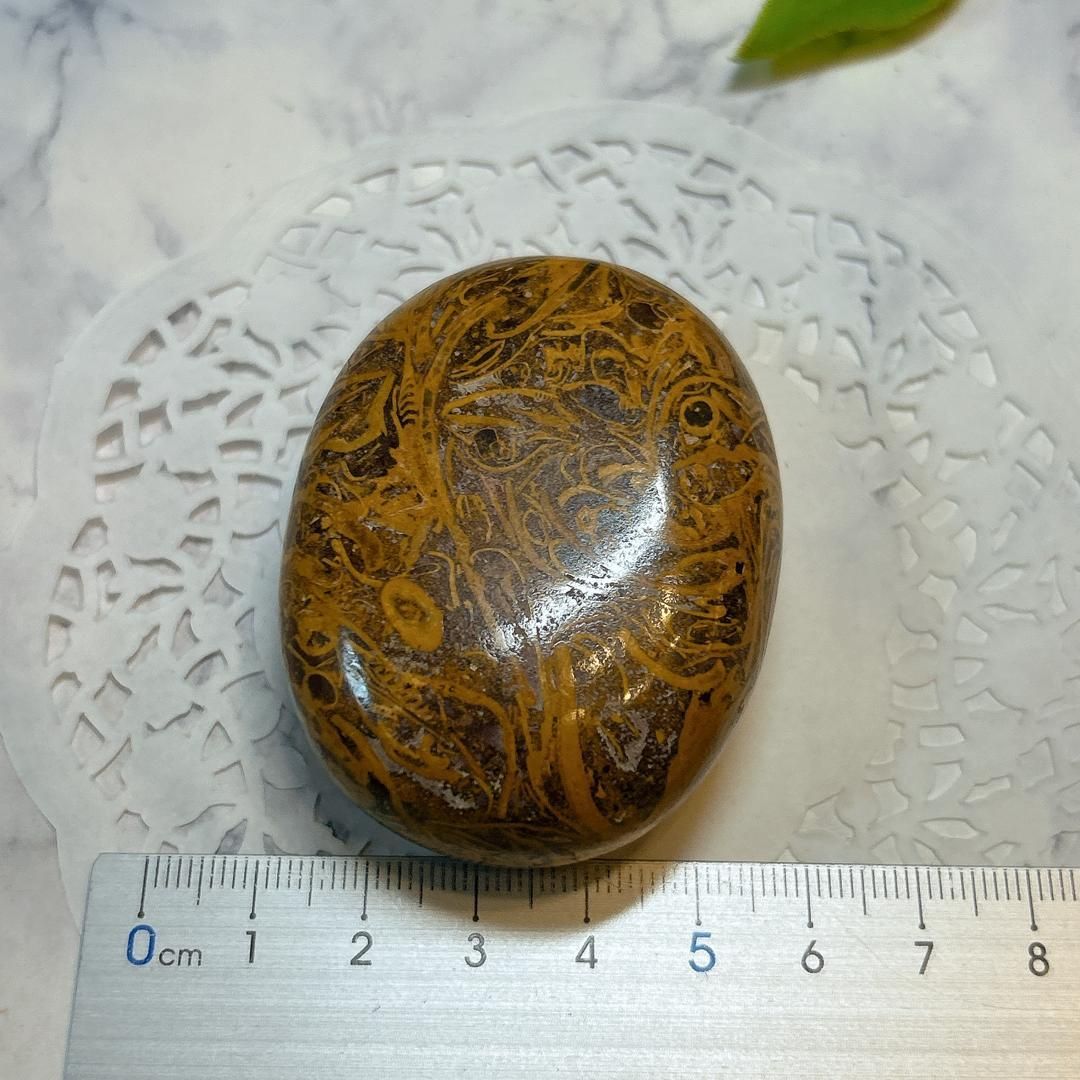 マリヤム マリアン