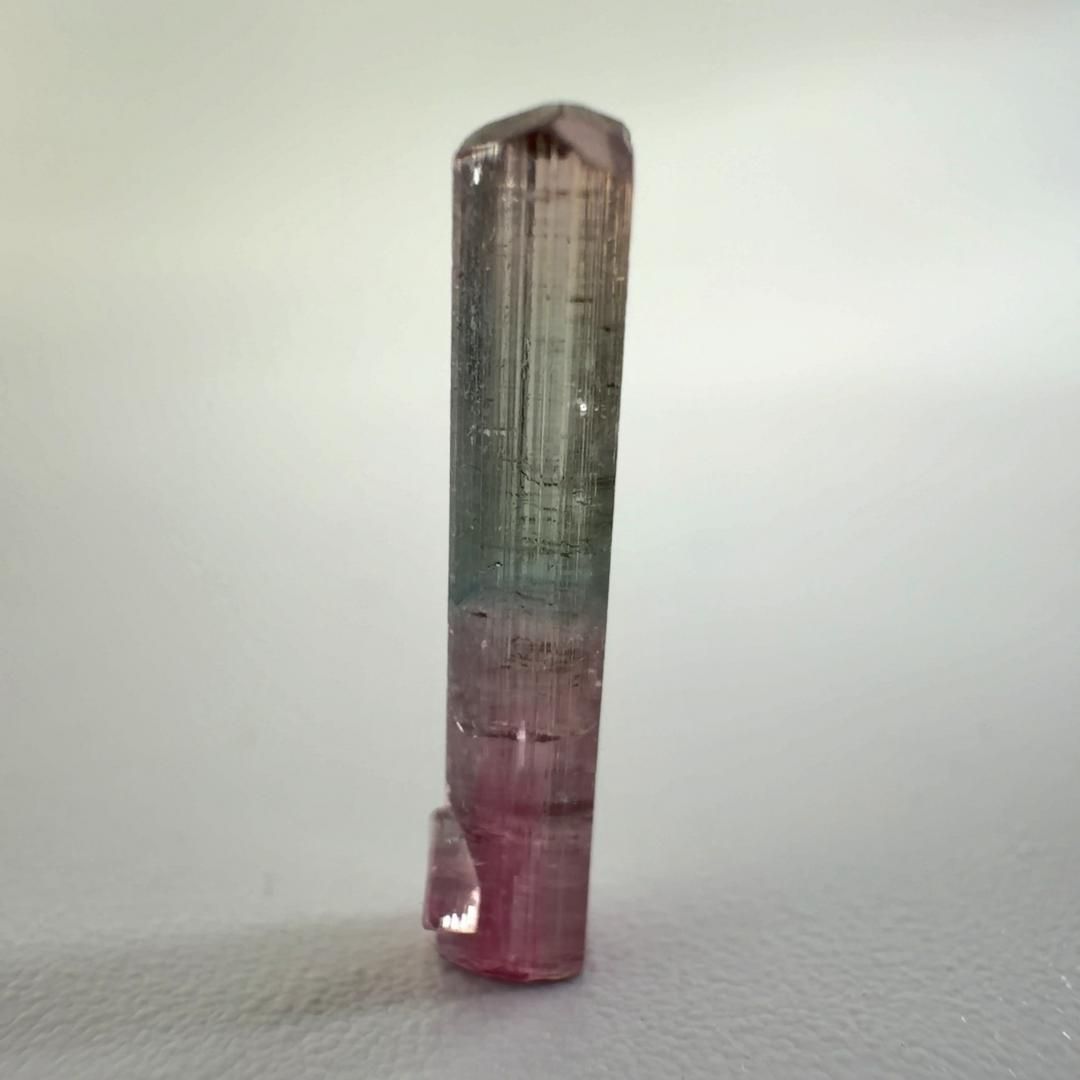 E32831 2 37ct バイカラートルマリン エルバイト リチア電気石 Elbaite 電気石 トルマリン 原石 天然石 鉱物 パワーストーン