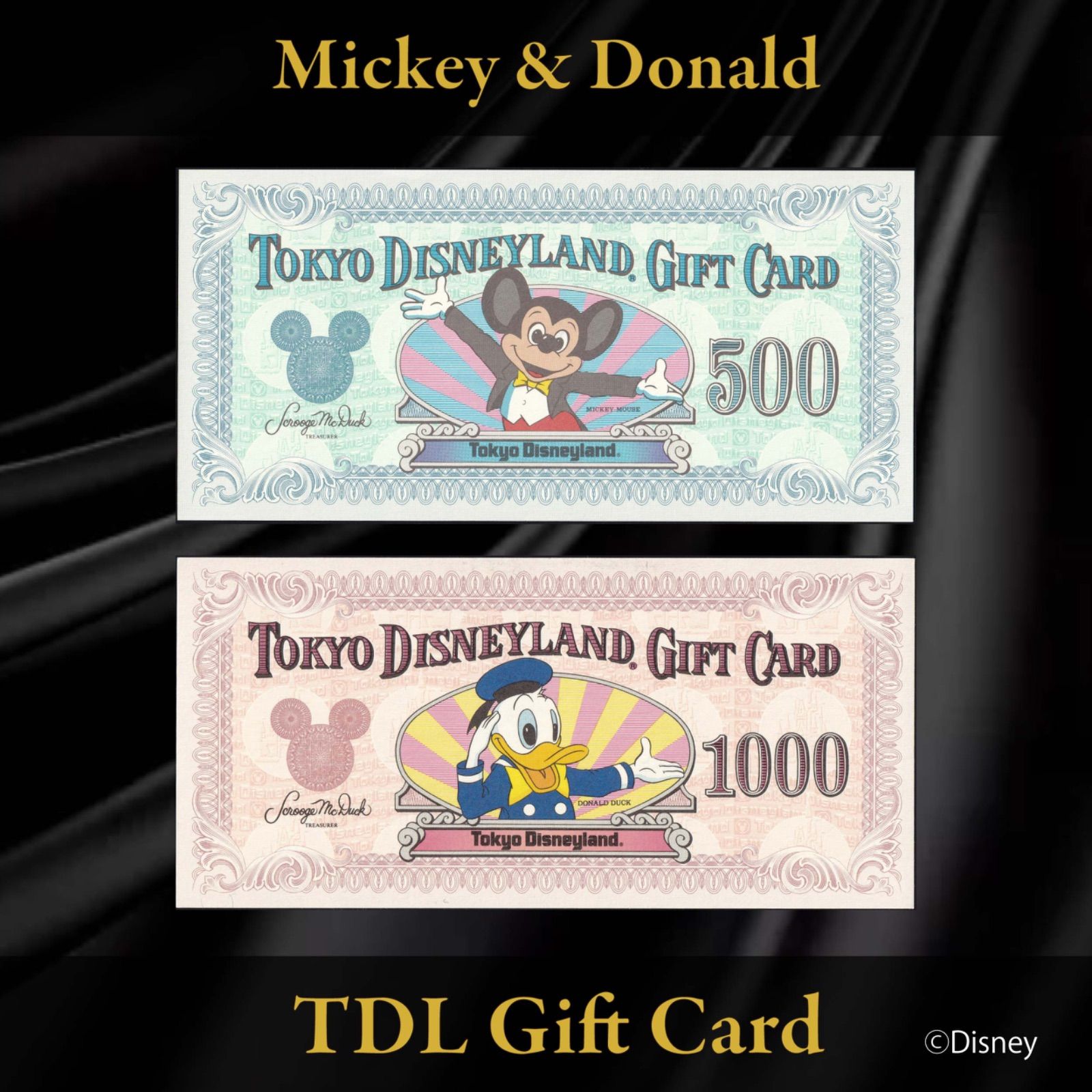 東京ディズニーランド ギフトカード 500円 1000円　封筒付き 東京ディズニーランド ギフトカード 旧デザイン500円 & 1,000円券