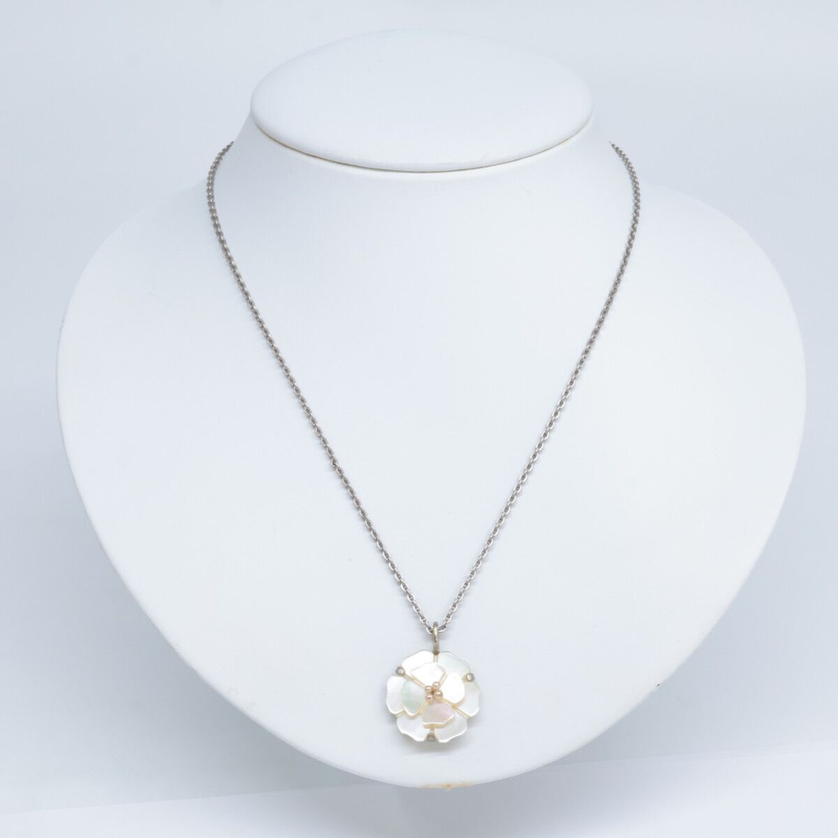 A ホワイトシェル