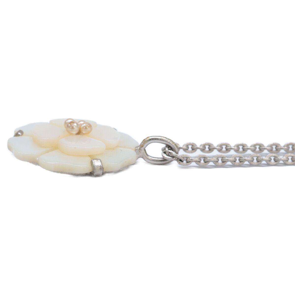 A ホワイトシェル