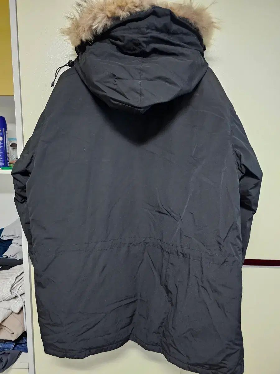 カナダ グースダウン