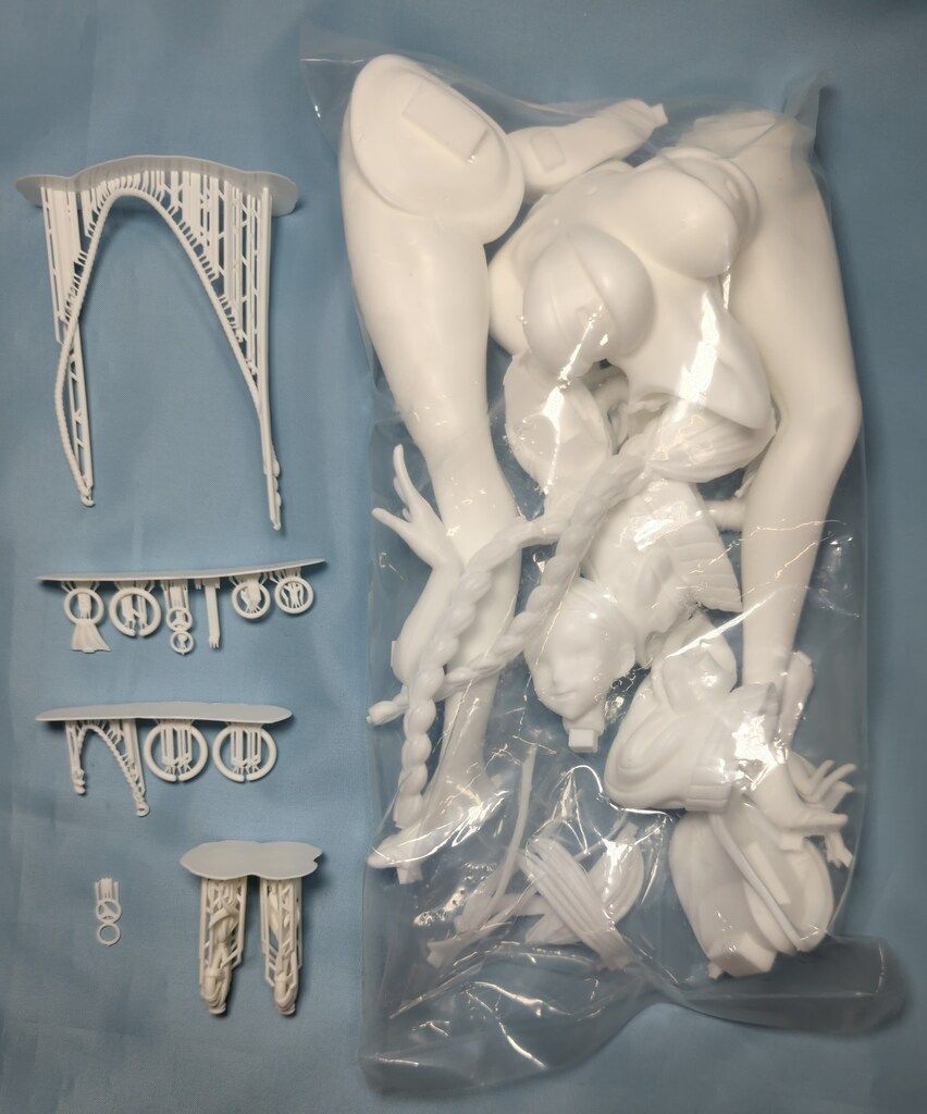 組立キット 原型 DMs 尾張 水着ver