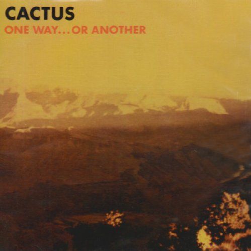 CD One Way Or Another Reis Cactus