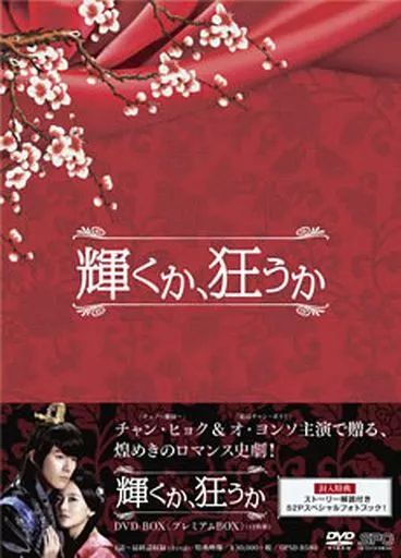 海外TVドラマDVD 輝くか 狂うか DVD-BOX ムBOX