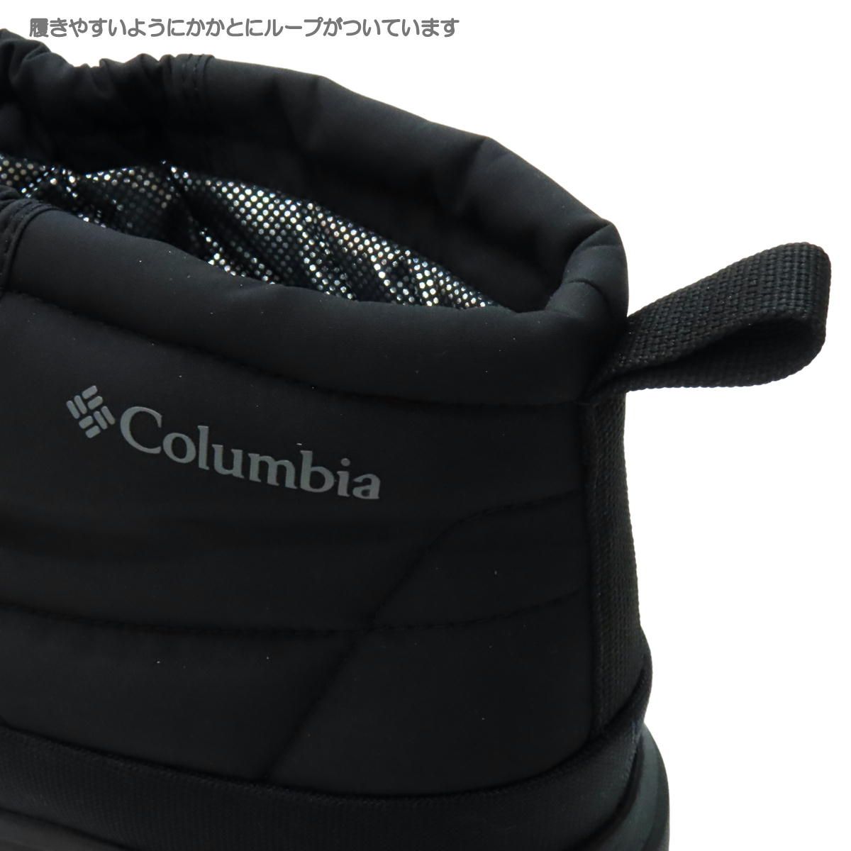 イエローテイルショーティー