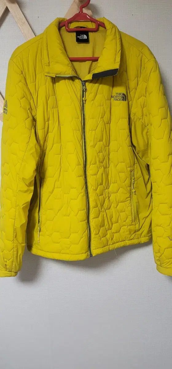 THE NORTH FACE ザノースフェイス 冬 軽量ダウン