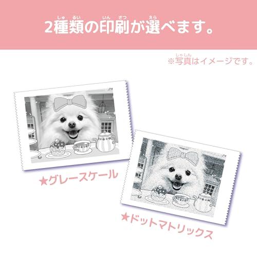  迅速に発送 セガフェイブ SEGA FAVE PRINT CAMERA プリカ マカロンピンク abb 37 ff 4 その他 キッチン 食器