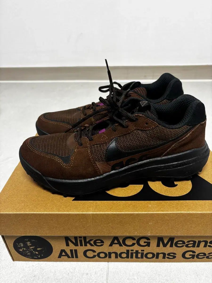ナイキ ACG ローカット