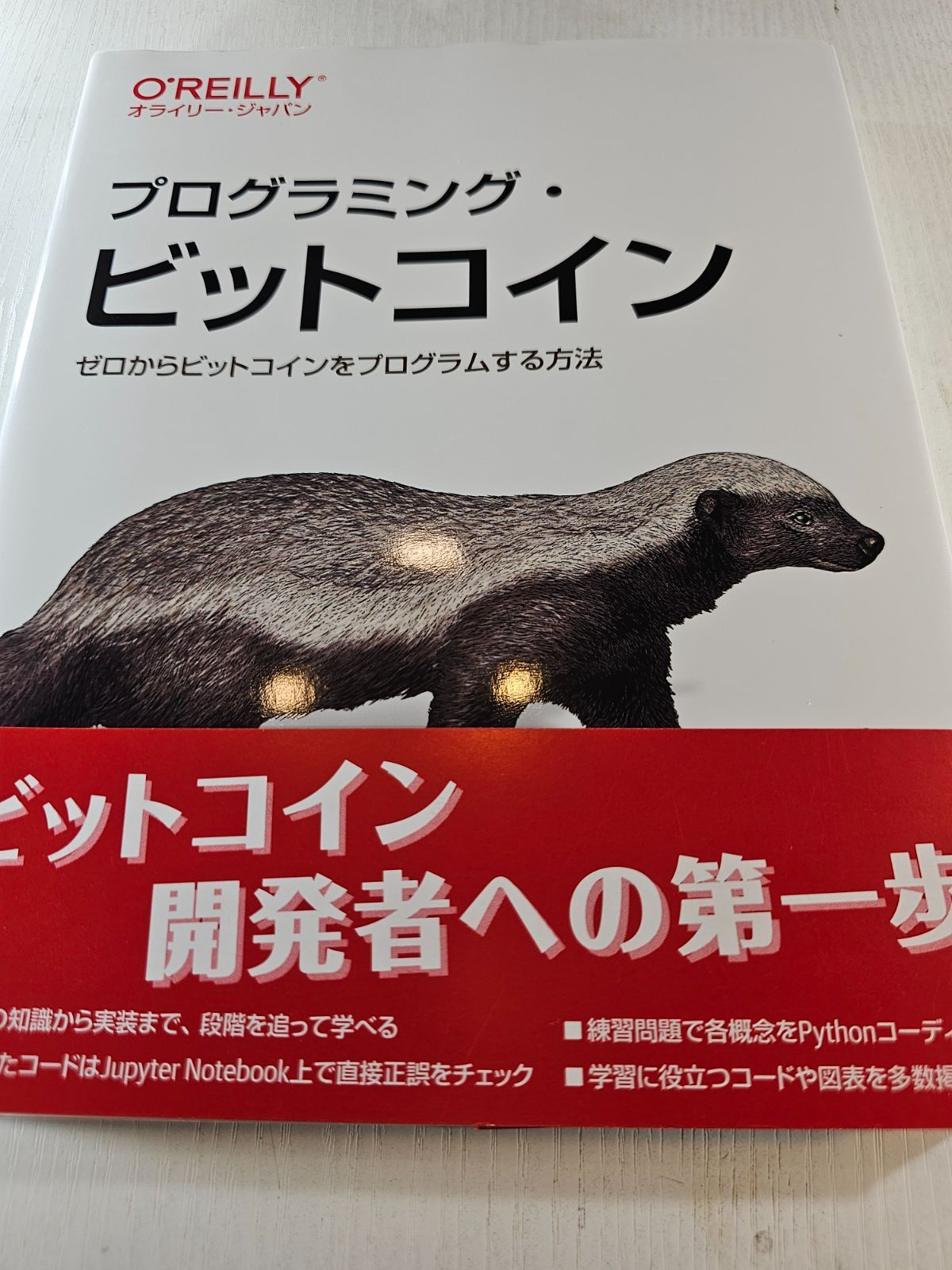 プログラミング・ビットコイン ゼロからビットコインをプログラムする方法 - メルカリ