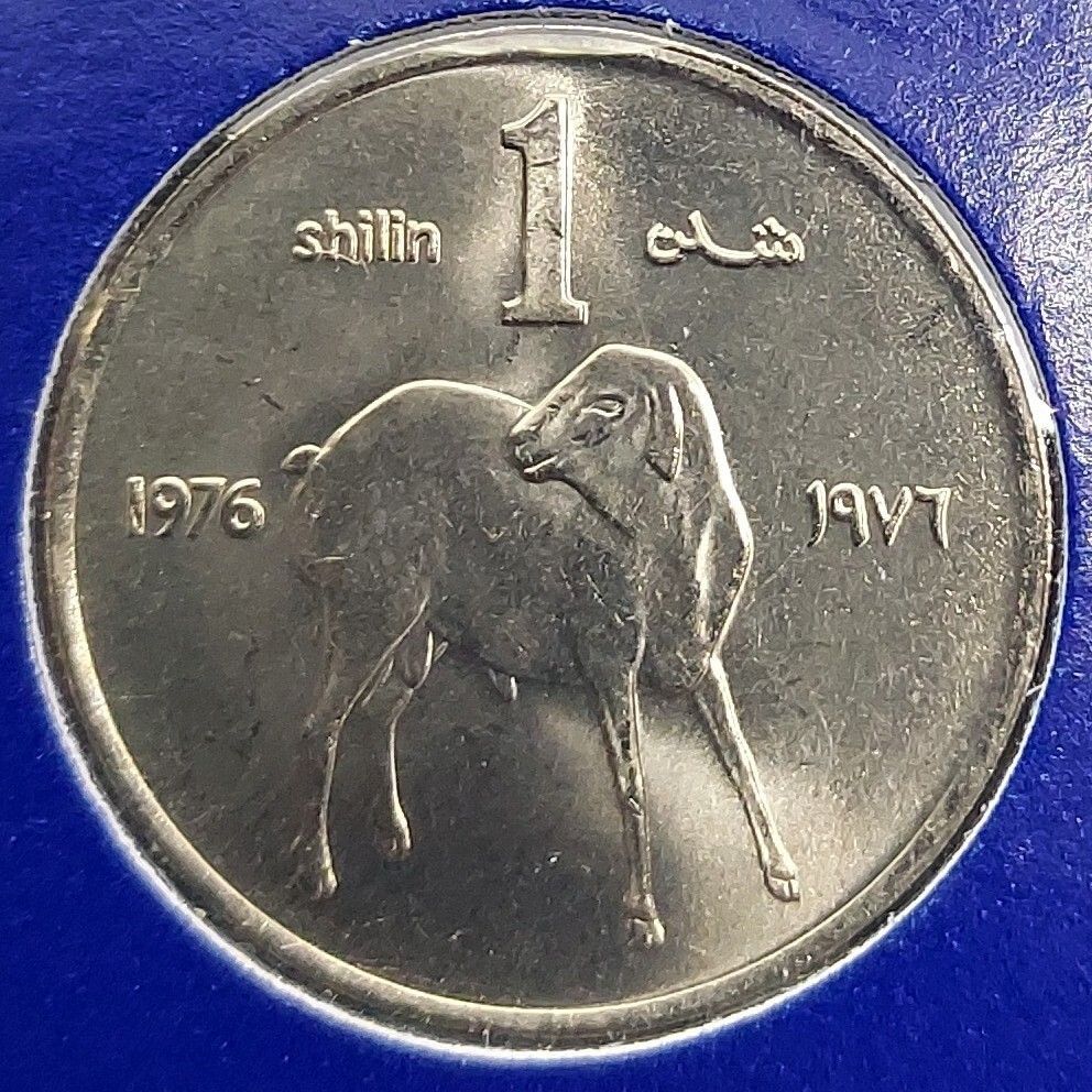 ソマリア 1シリング硬貨 1976年 ソマリアコイン・切手セット 外国硬貨
