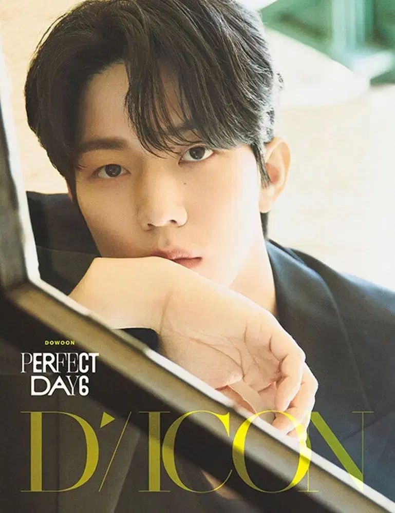 DICON ドウン Bタイプ フルセット