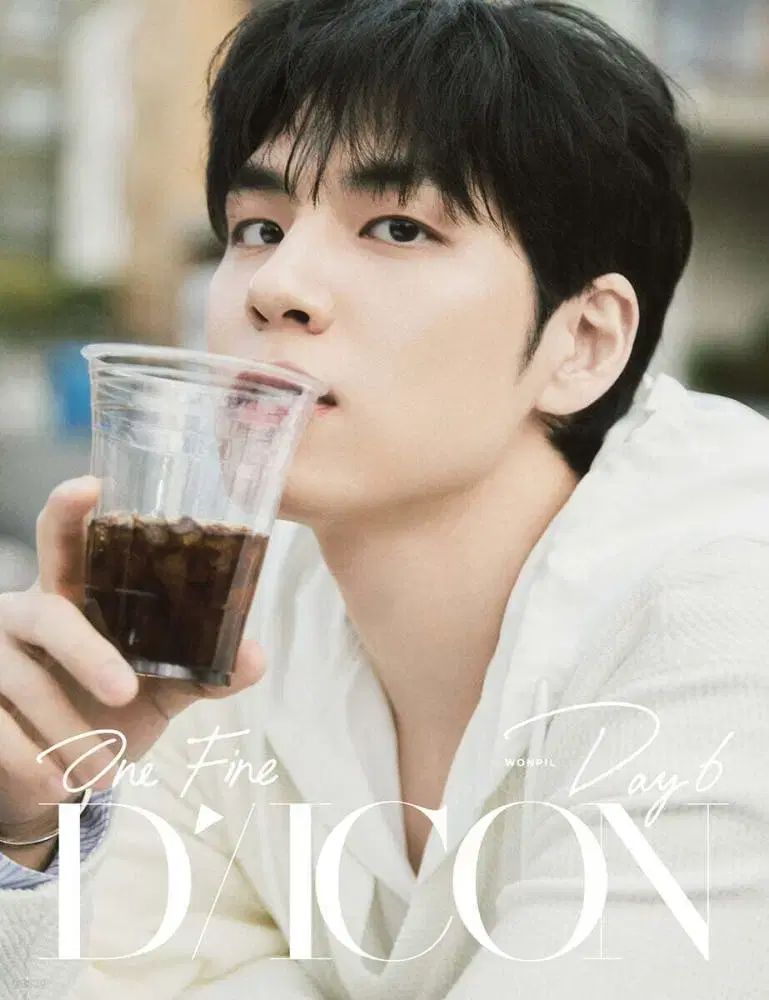 DICON ウォンピル(WONPIL) Aタイプ(フルセット) - メルカリ