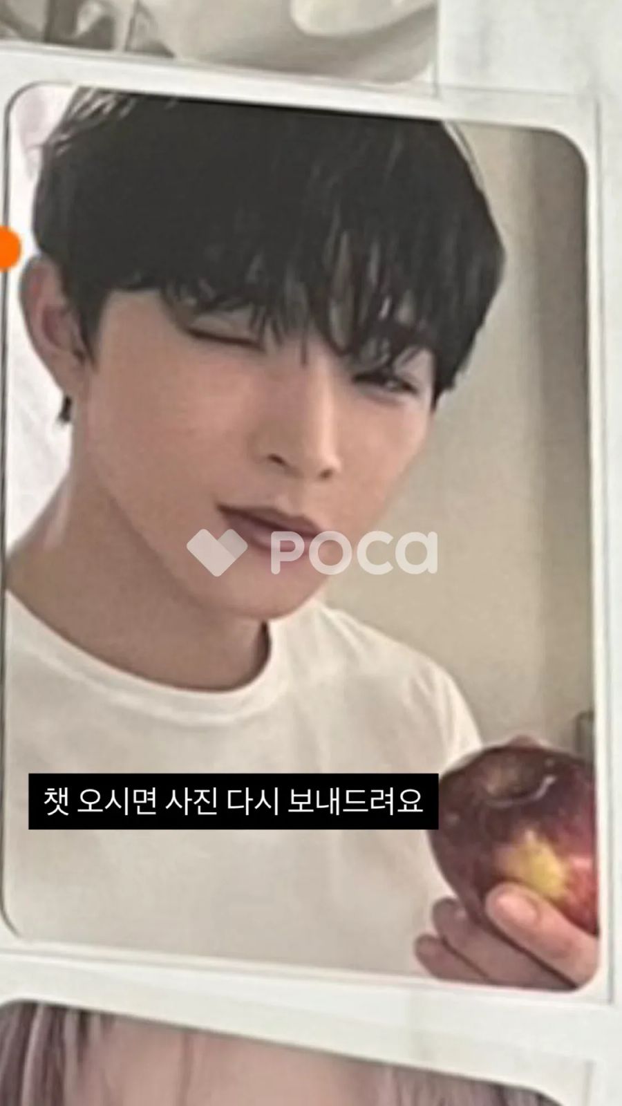 ONEUS MALUS BANDINA特典トレカ イド ONEUS MALUS BANDINA特典トレカ イド ONEUS MALUS BANDINA特典トレカ