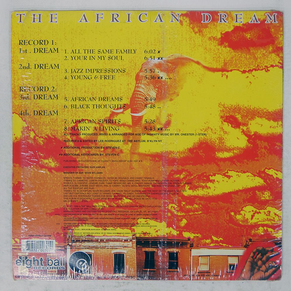 レコード US盤 THE AFRICAN DREAM/THE AFRICAN DREAM/EIGHT BALL EB30 12