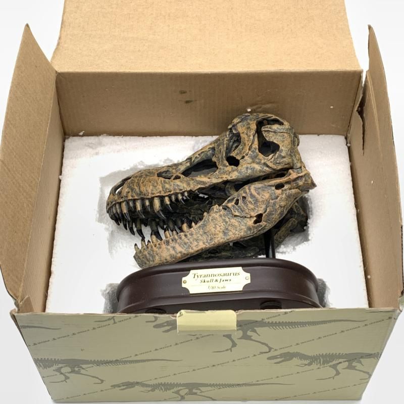 中古】台座破損品)恐竜 ティラノサウルス 「フェバリットコレクション