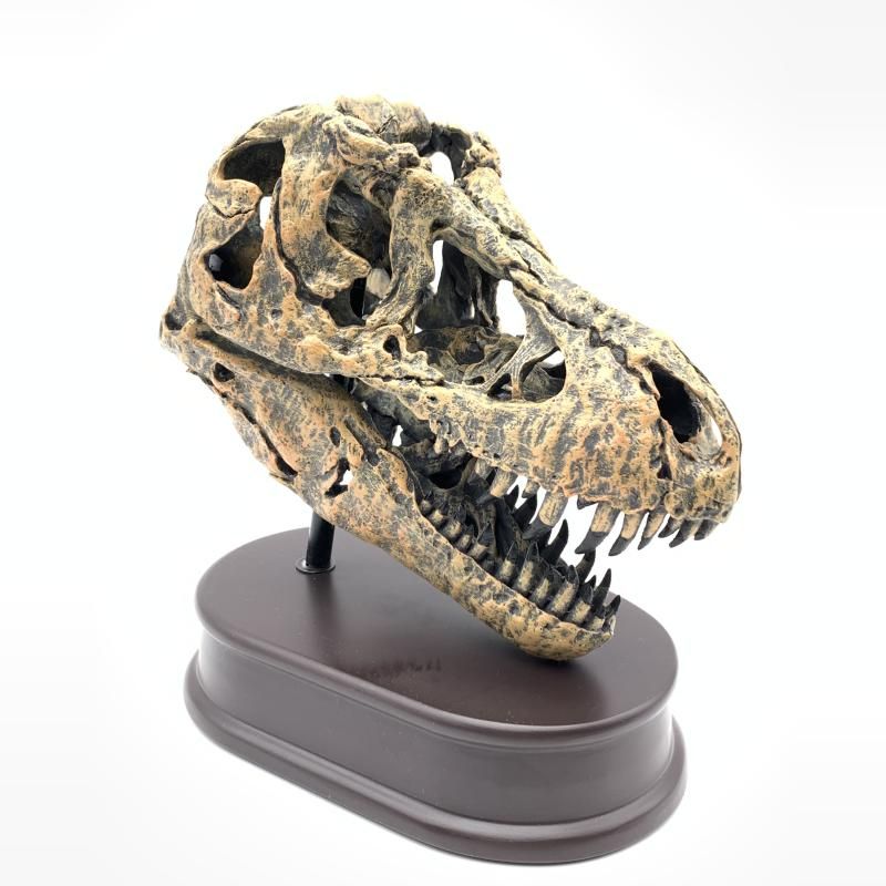 中古】台座破損品)恐竜 ティラノサウルス 「フェバリットコレクション