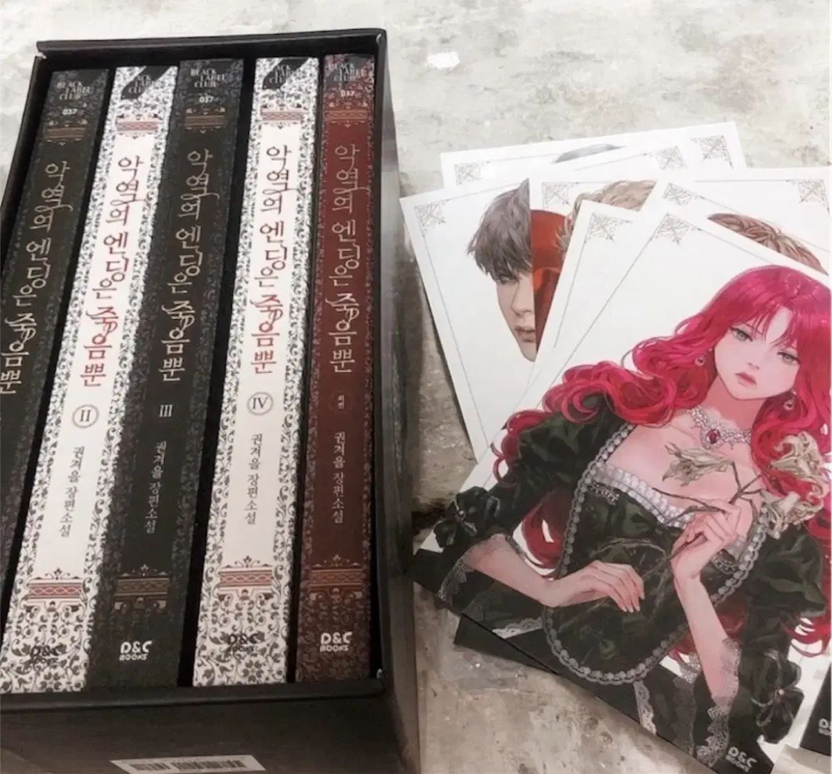 ロマンス小説 ロマンファンタジー 巻 悪役のエンディングは死のみ 판