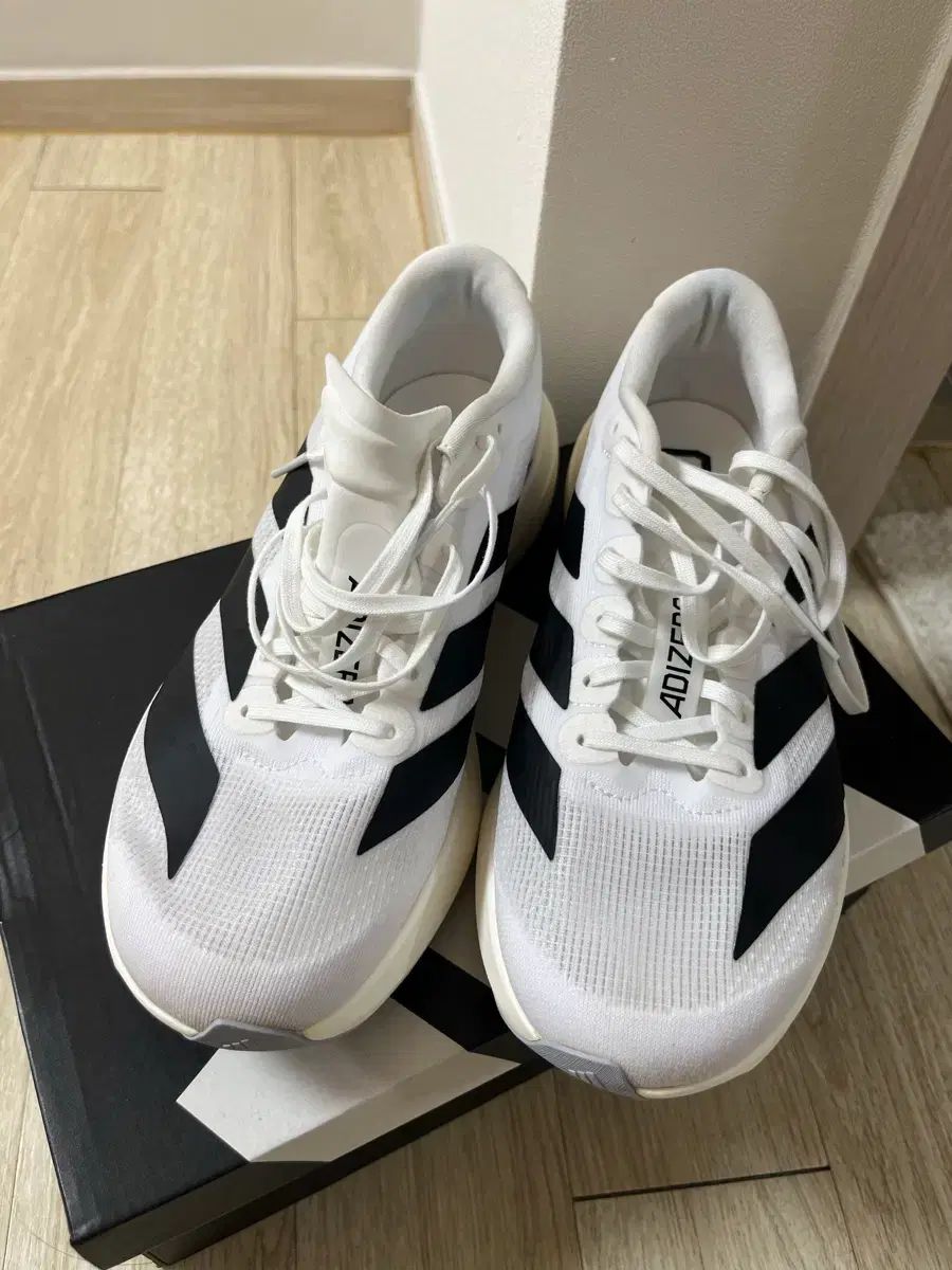 アディダス Evo SL ランニングシューズ 250