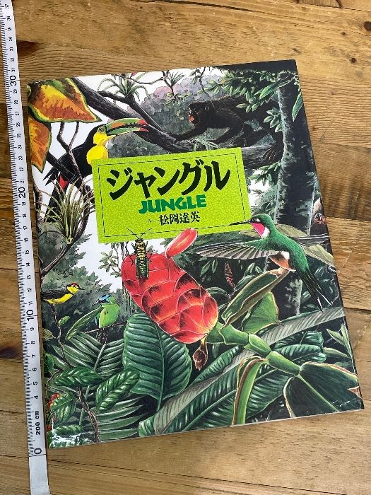 岩崎書店　絵本図鑑他37冊 ジャングル (絵本図鑑シリーズ 14) 岩崎書店 松岡 達英 - メルカリ