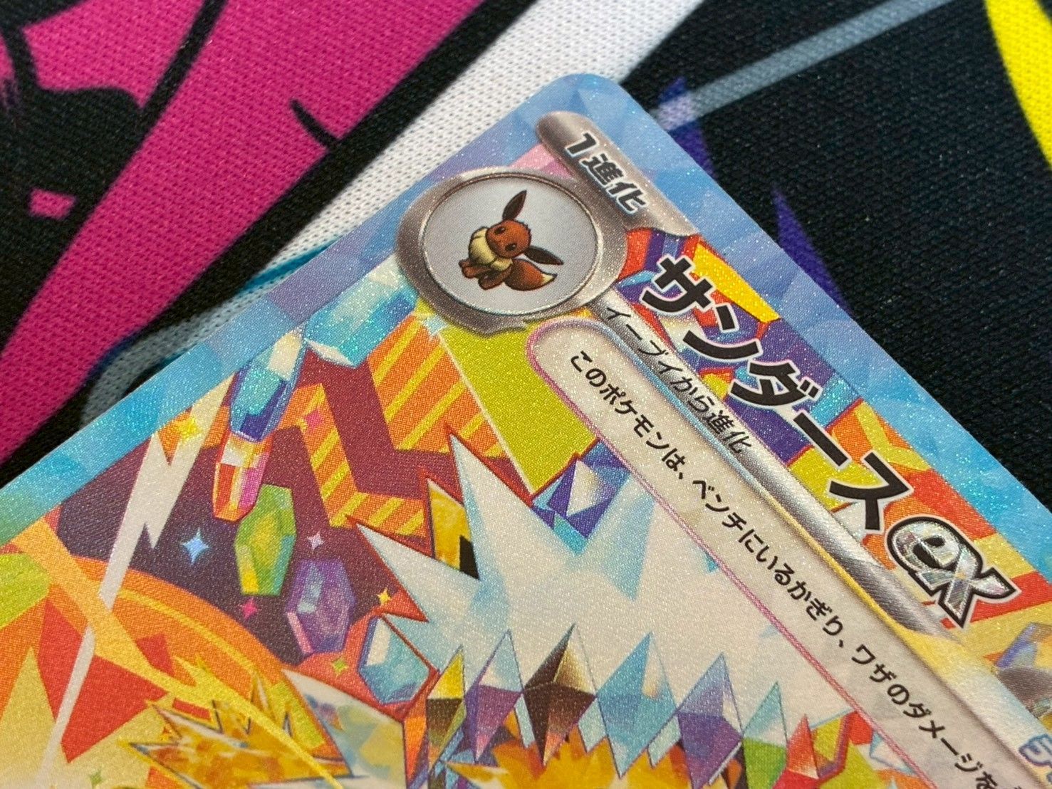 テラスタルフェスex マグネットローダー付き