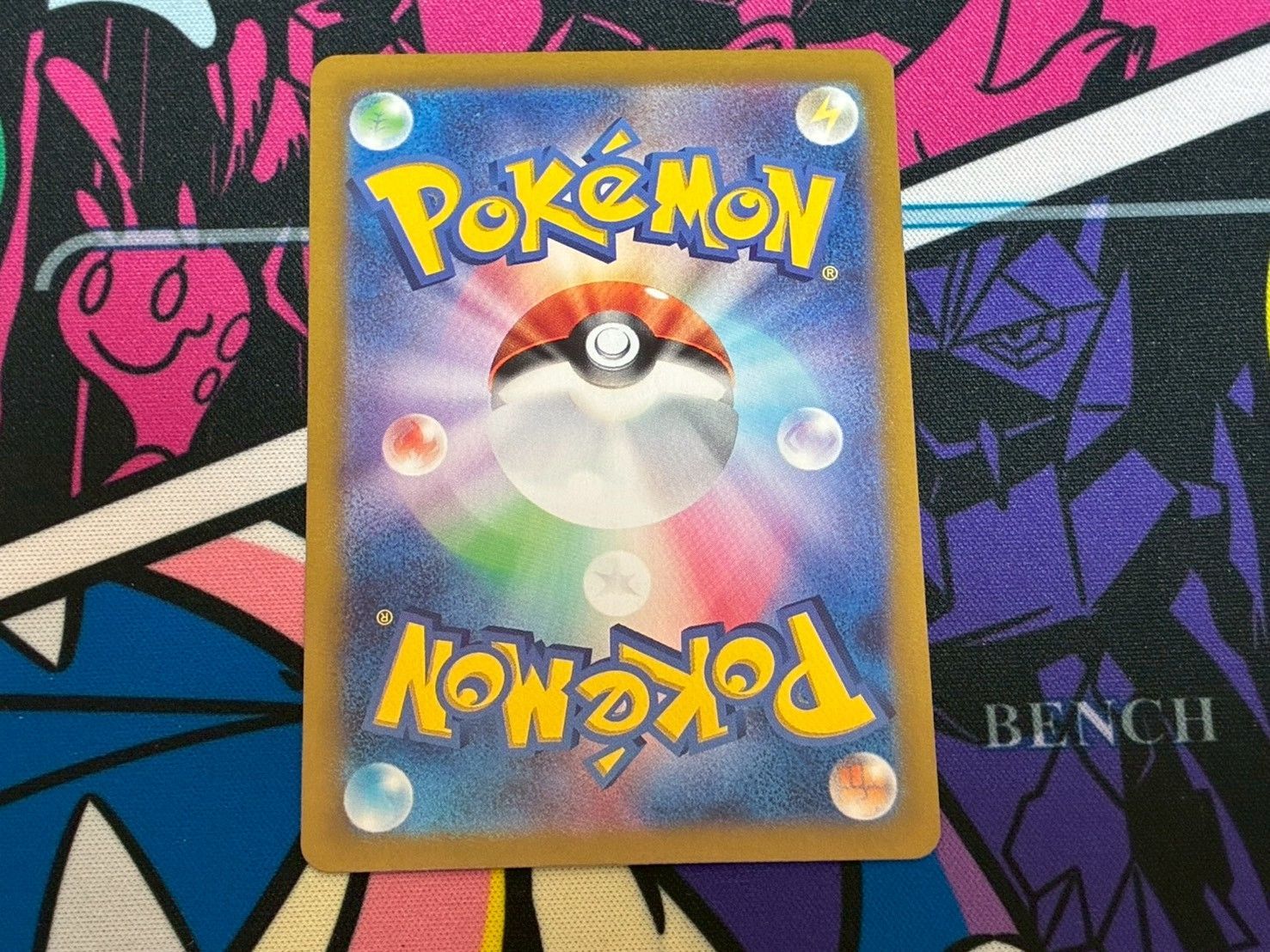 209 テラスタルフェスex