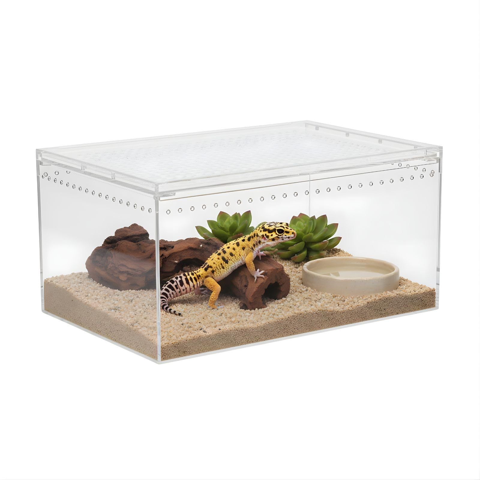 6個セット　爬虫類飼育　クリアアクリルケージ 30×20×15 6個セット 爬虫類飼育 クリアアクリルケージ 30×20×15 Amazon | 爬虫類