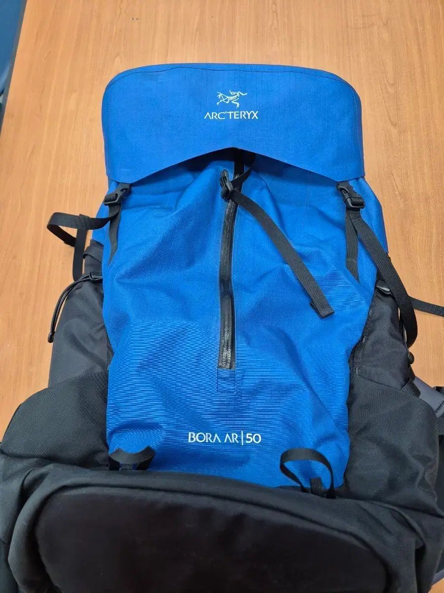 ARC TERYX アークテリクス パープル 50 ブルー