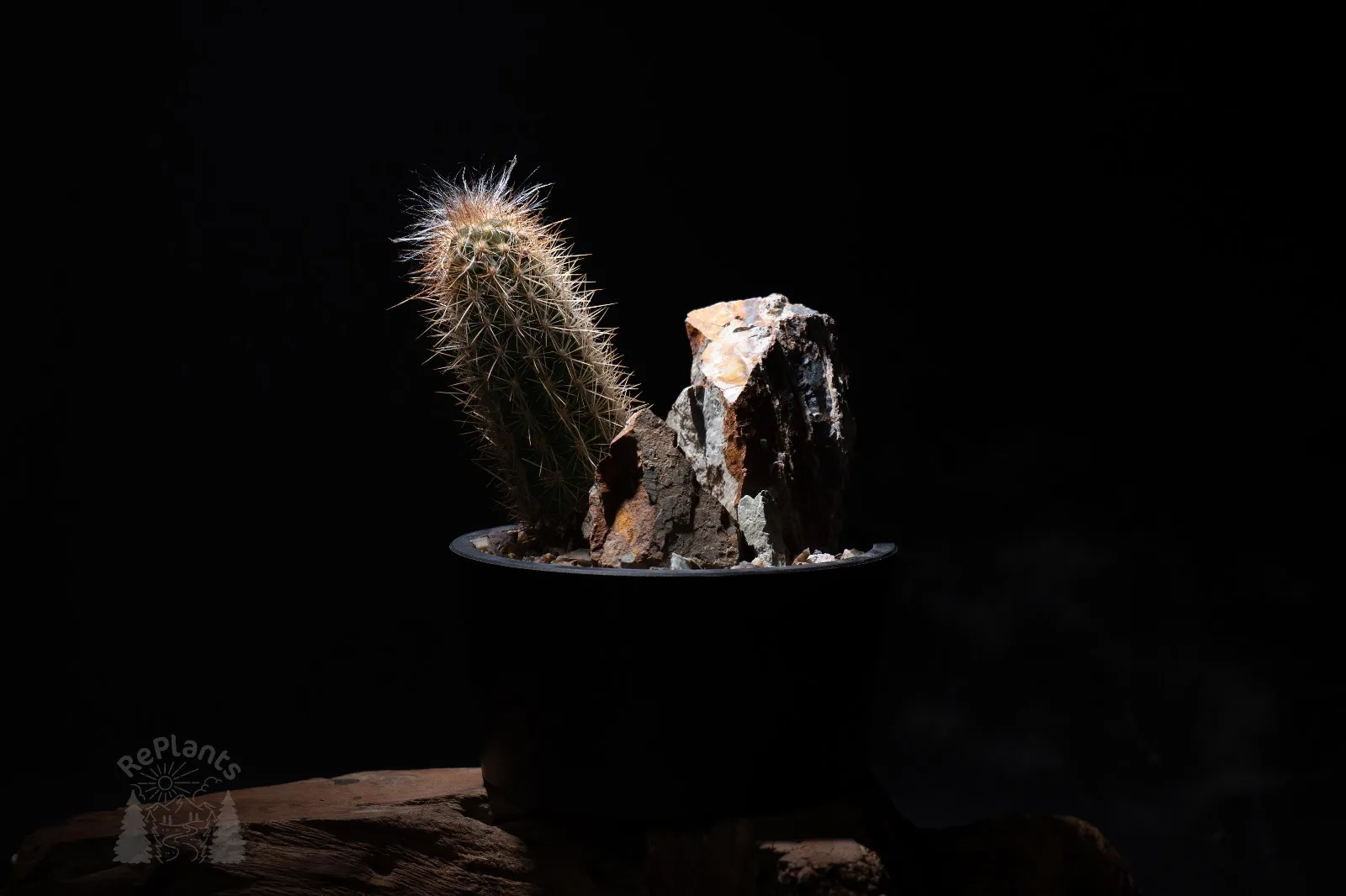 2026年最新】ハビタット 石の人気アイテム - メルカリ