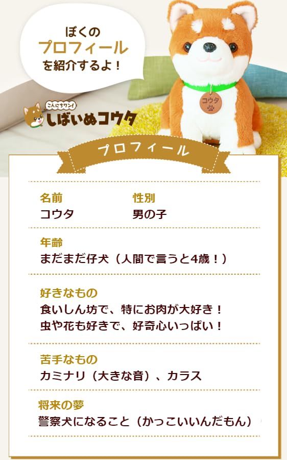 電話サポートpo