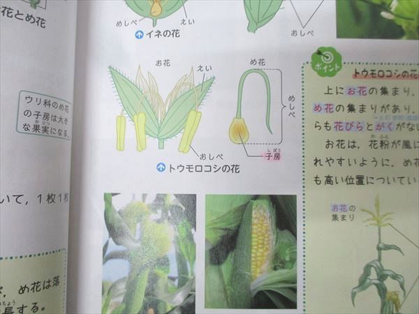 A 超美品❣️最新版2024年版　浜学園　理社のみ 浜学園/受験研究社 理科 ビジュアルサイエンス テキスト 2024 023m2D